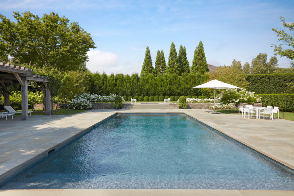 Backyard pool with privacy hedge, iceberg roses and limelight hydrangeas by Ed Hollander